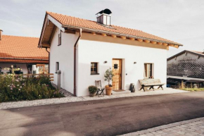 Ferienhaus WANDL mit Sauna und Fitness Studio